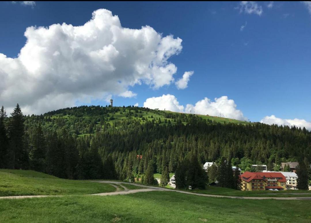 Ferienwohnung Feldberg Mit Whirlpool Direkt An Der Skipiste Exterior foto